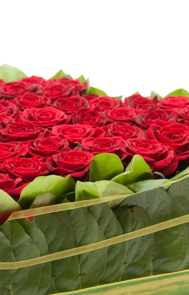 Herz aus Rosen, rote Rosen — Stockfoto