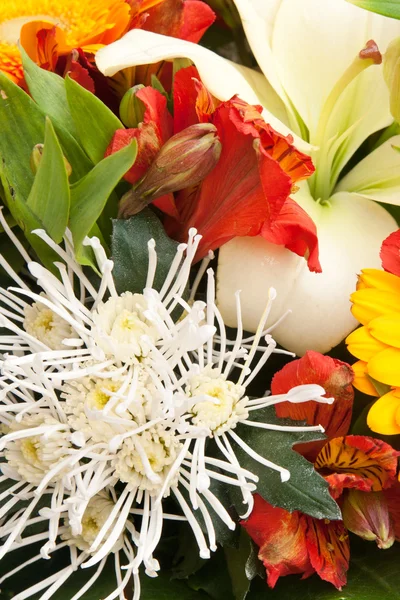 Beautiful bouquet beautiful bouquet — Stock Photo, Image