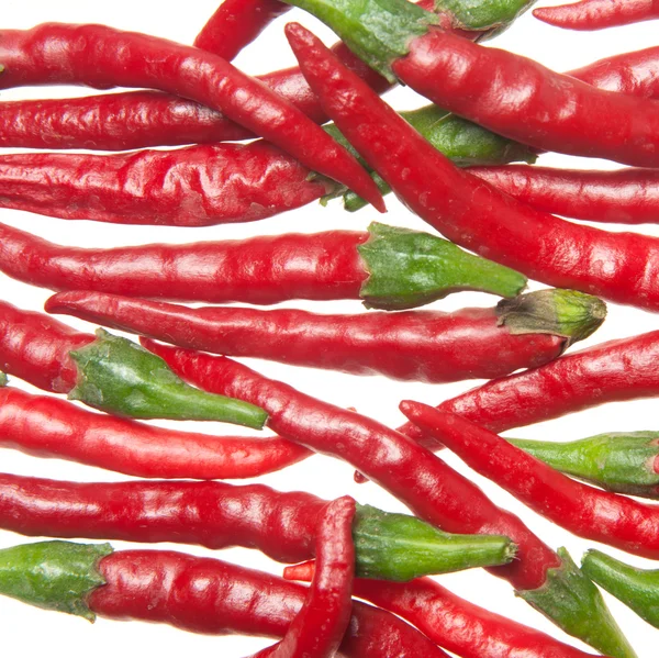 Red Hot Chilli papričky — Stock fotografie