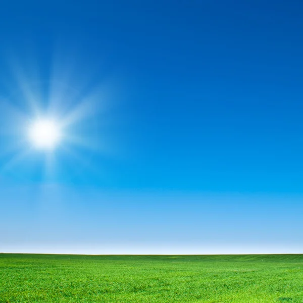 Hermoso paisaje, hierba verde, cielo azul — Foto de Stock