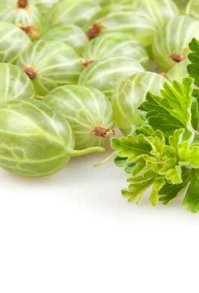 Stachelbeeren Isoliert Auf Weiß — Stockfoto