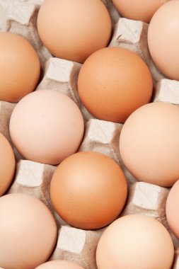 bir sürü kahverengi yumurta, arka plan
