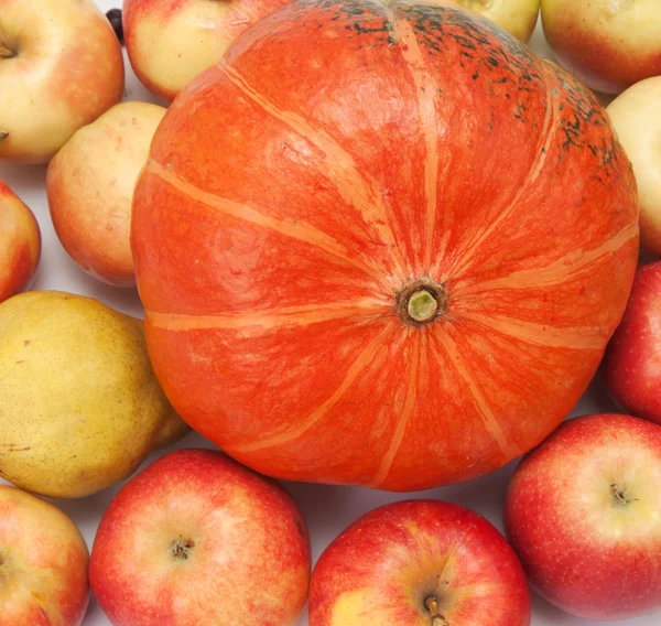 Abóbora Laranja Com Maçãs Fundo — Fotografia de Stock