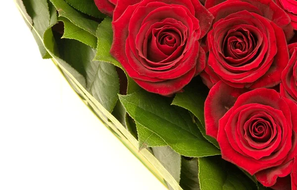 Bouquet Roses Red Roses — Stock Photo, Image