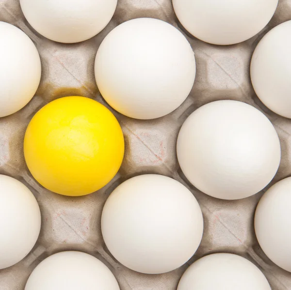 Witte Eieren Met Één Gouden — Stockfoto