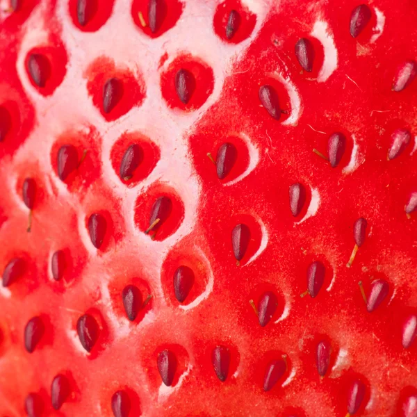 超大的红草莓 — 图库照片#