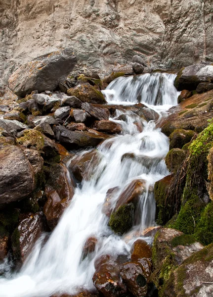 Río en las montañas — Foto de Stock