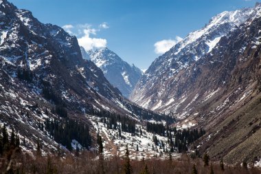 dağ manzarası. Kırgızistan. ala-Arça.