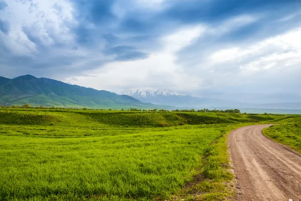 Asien landskap. Kirgizistan, baitik — Stockfoto