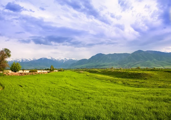 Asya manzara. Kırgızistan, baitik — Stok fotoğraf