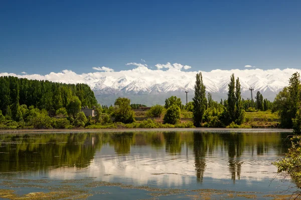 Village with pasture near the blue river — Stok fotoğraf