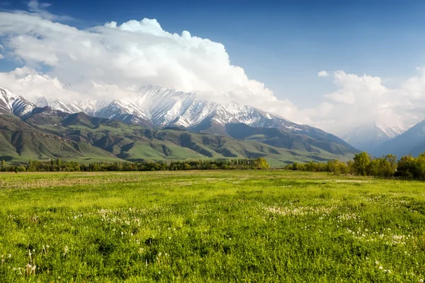 Asya manzara. Kırgızistan, baitik — Stok fotoğraf