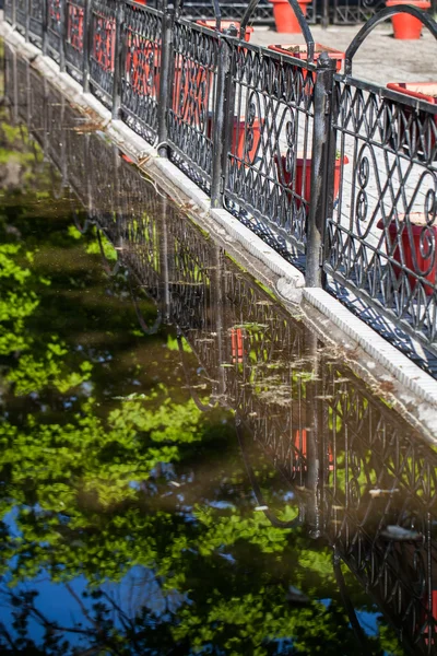 Reflection of trees in the park — Stock Photo, Image