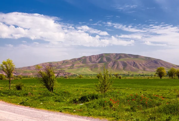 Paysage asiatique. Kirghizistan, Baitik — Photo