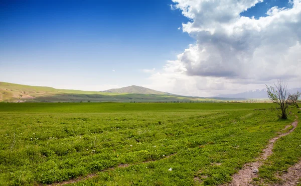 Asienlandschaft. Kyrgyzstan, baitisch — Stockfoto