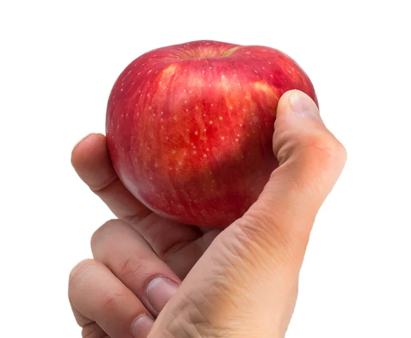Beyaz zemin üzerinde bir el içinde elma — Stok fotoğraf