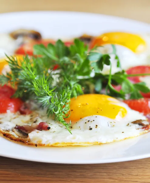 Ägg omelett med tomater — Stockfoto