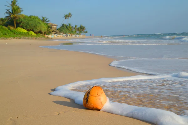 Playa idílica. Sri Lanka —  Fotos de Stock