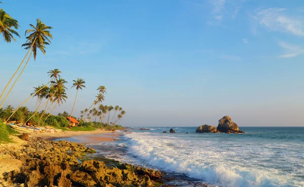 Plaja tropicală. Sri Lanka — Fotografie, imagine de stoc