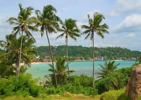 Tropischer strand in sri lanka — kostenloses Stockfoto