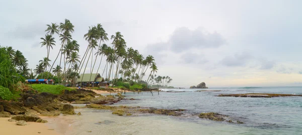 Tropisk strand i sri lanka — Gratis stockfoto