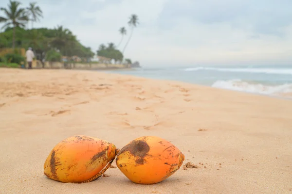 Plaja tropicala din Sri Lanka — Fotografie de stoc gratuită