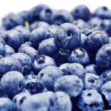 Taze yaban mersini arka plan seçici odak