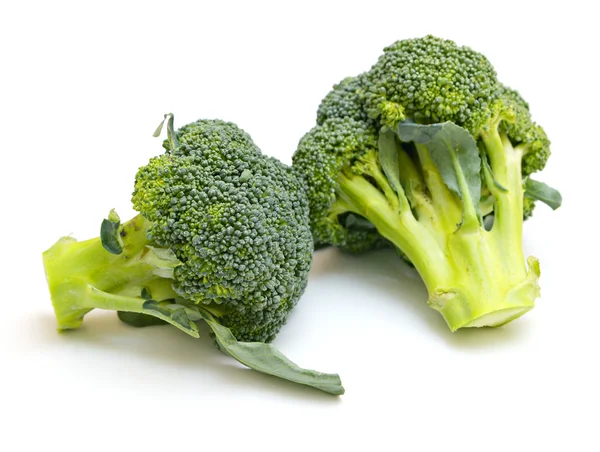 Verse groene broccoli — Stockfoto