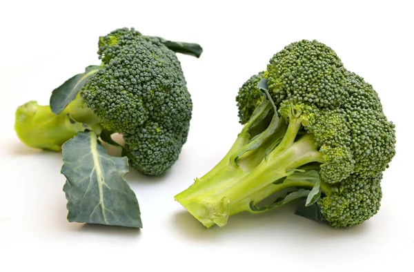 Färska gröna broccoli — Stockfoto