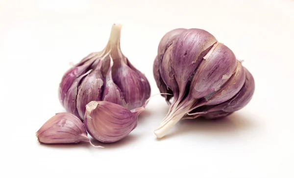 Knoblauch isoliert auf weiß — Stockfoto