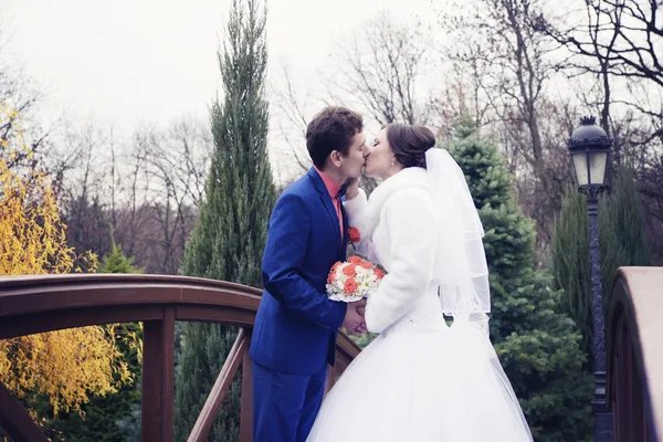 Lovely couple in love kissing — Stock Photo, Image