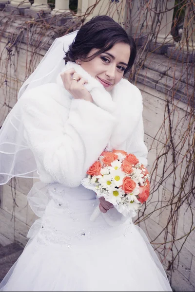 Retrato de novia hermosa —  Fotos de Stock