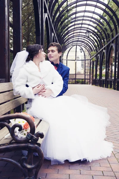 Portrait of the bride and groom kissing — Stock Photo, Image