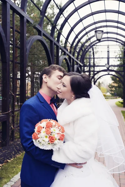 Retrato da noiva e noivo beijando — Fotografia de Stock