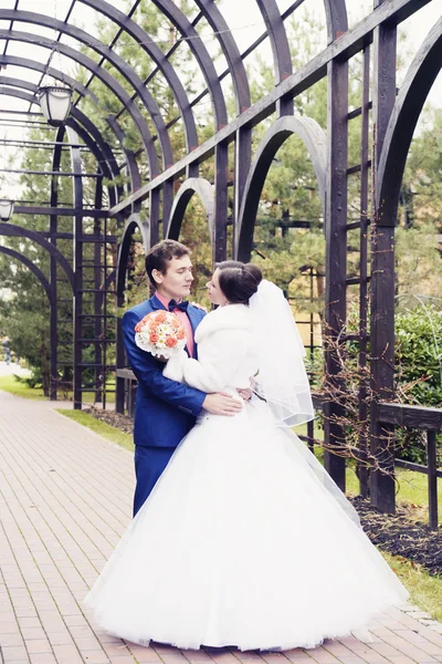 Retrato da noiva e noivo beijando — Fotografia de Stock