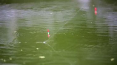 Pond yüzen bobbers