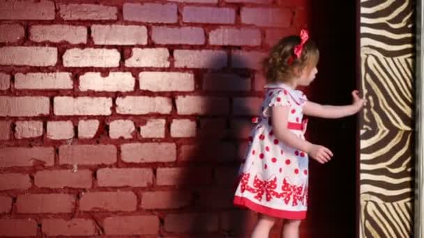 Menina perto da parede arrasta um pano de fundo com padrão de zebra e couro — Vídeo de Stock
