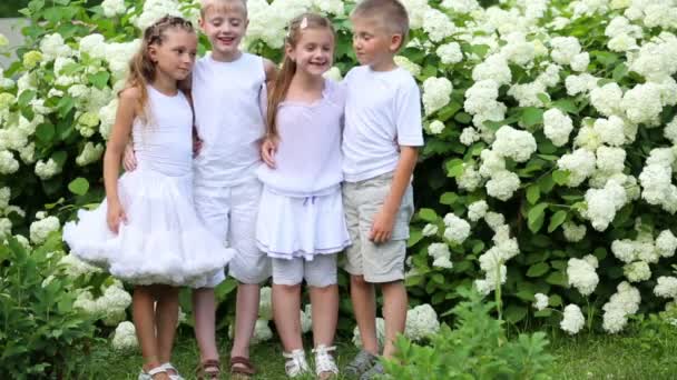 Niños y niñas cerca de arbusto con flores — Vídeo de stock