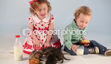 Çekici çocuk yavru kedi süt tarafından
