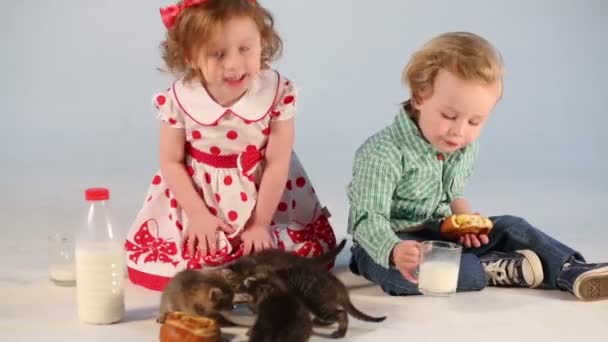 Remolque a los niños gatitos por leche — Vídeos de Stock