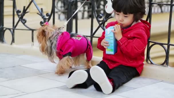 Маленький хлопчик з собакою — стокове відео