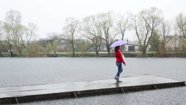 Femme avec parapluie violet — Video