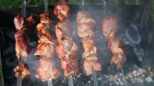 Carne arrosto girevole — Video Stock