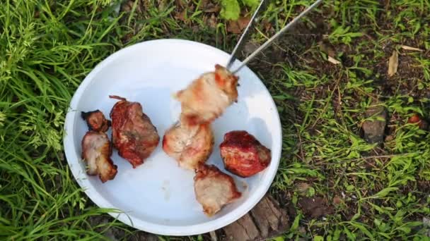 Carne asada cae de brochetas — Vídeos de Stock