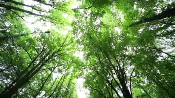 Vue du bas de la voiture  