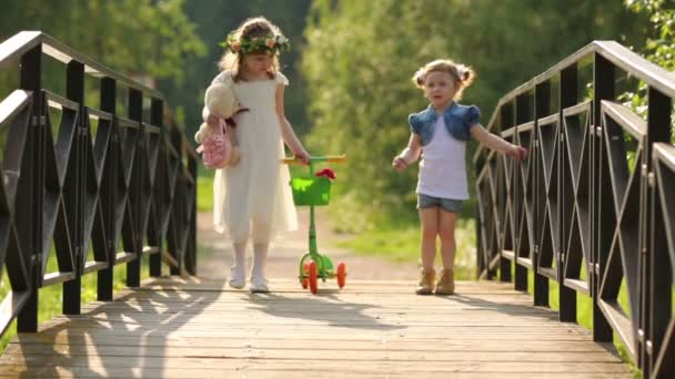 Deux filles sur un pont en bois — Video