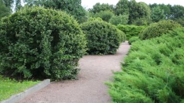 geçit üzerinde çalışan çocuk 