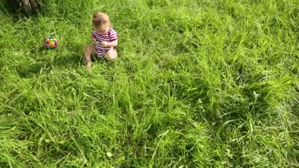 Liten söt baby sitter på gräset — Stockvideo