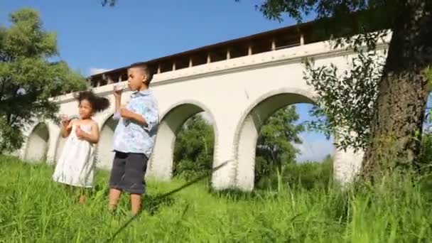 Bruder und Schwester blasen Blasen — Stockvideo