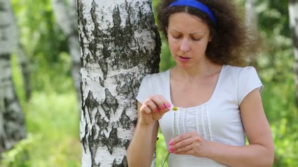 Young woman  pulls petals of daisy — Stock Video